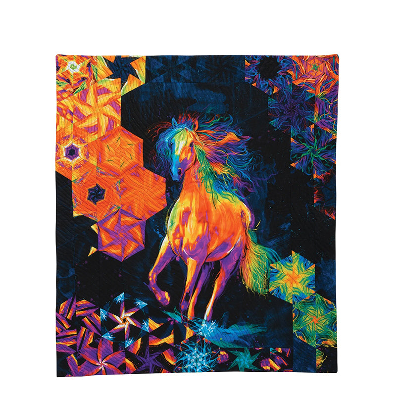 One-Block Wonder Panel Quilts Pattern Book