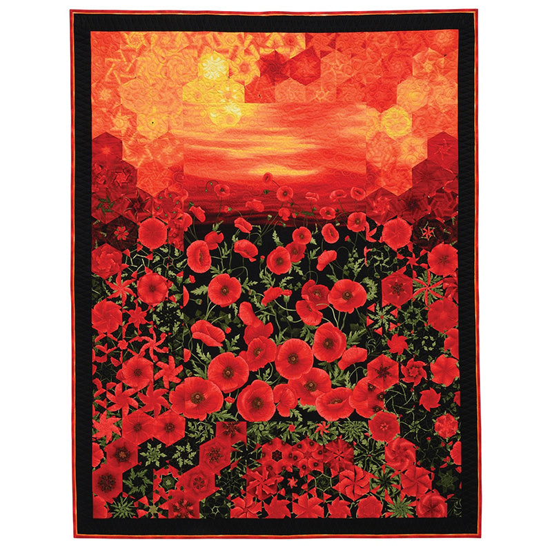 One-Block Wonder Panel Quilts Pattern Book