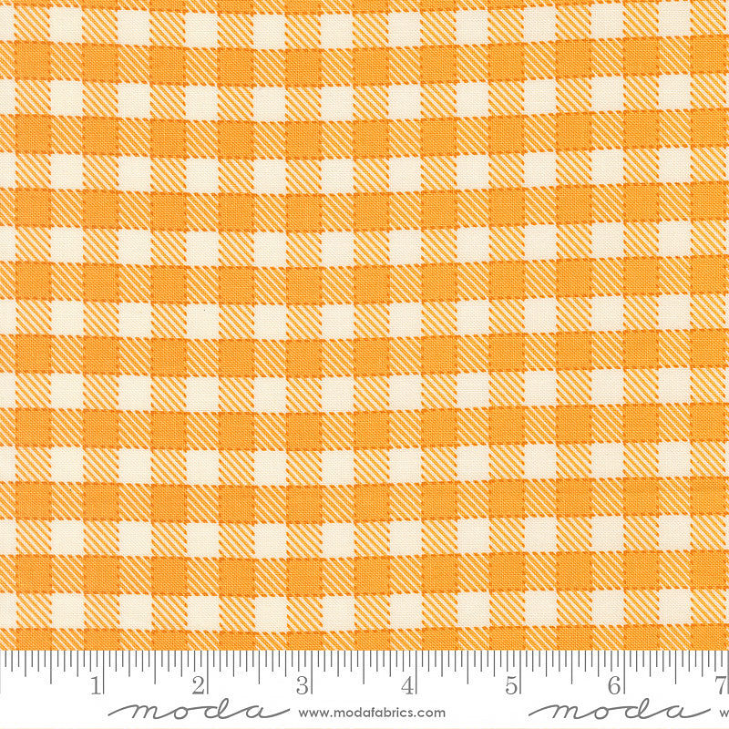 Animal Park Fun Checks & Plaids Canary