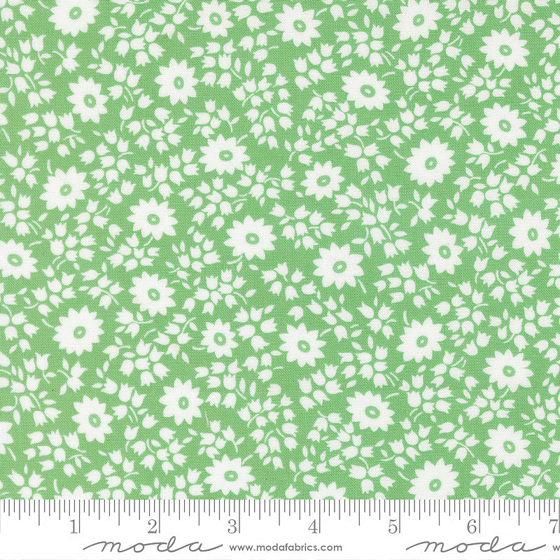 30's Playtime Perky Florals Aloe