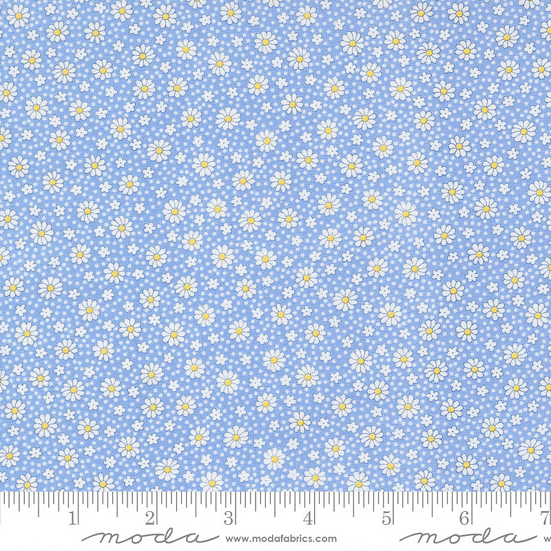 30's Playtime Ditsy Dots Sky