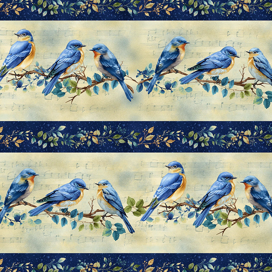 Awakenings Border Stripe Blue