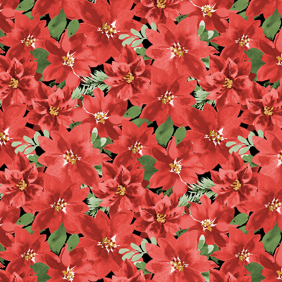 Cardinal Celebration Packed Poinsettias Black