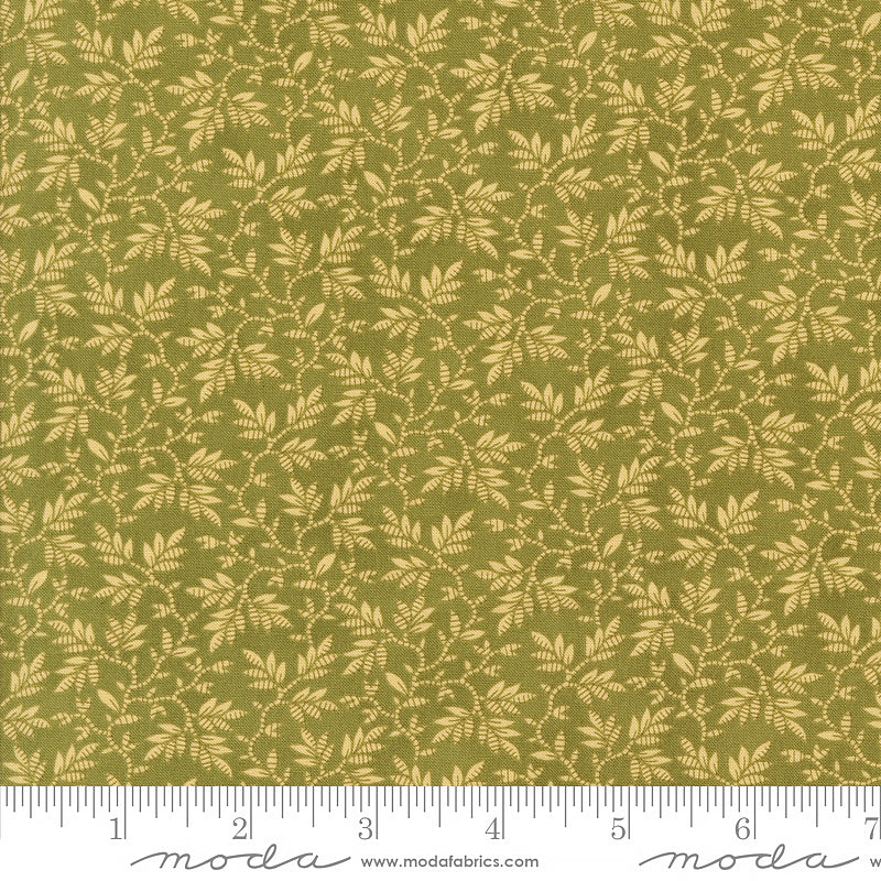 Collection for a Cause: Unity Wandering Leaves Fern