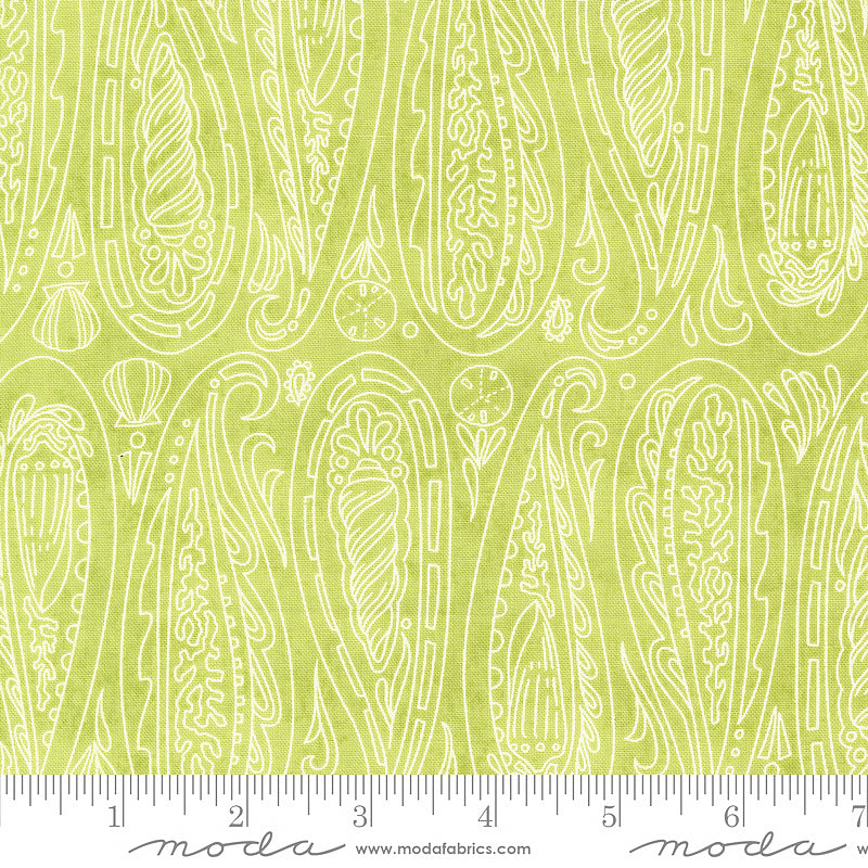 Serena Shores Paisley Shells Kelp