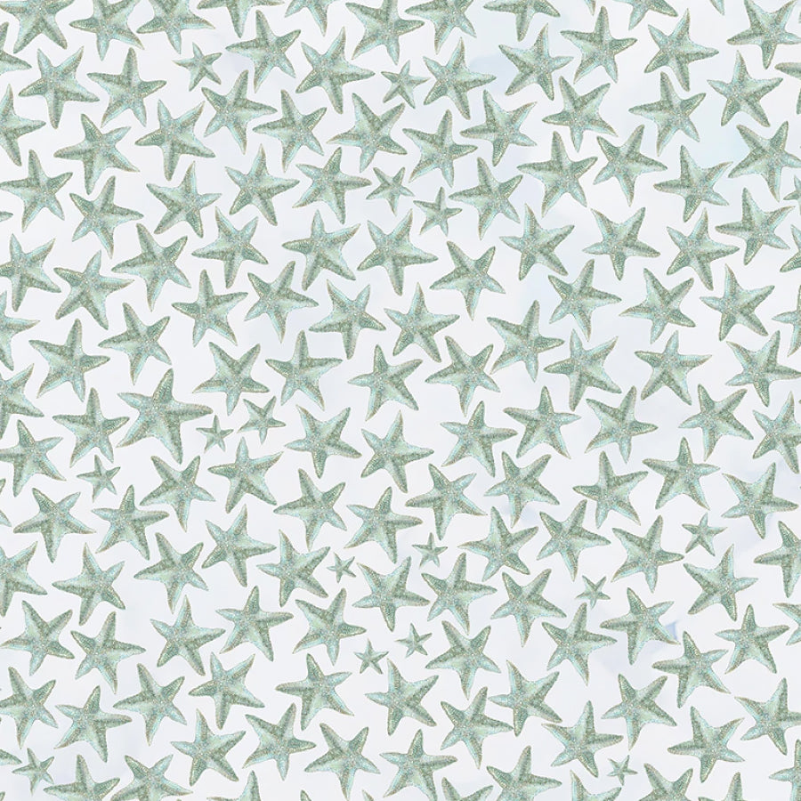 A Drop in the Ocean Starfish Packed Pearl