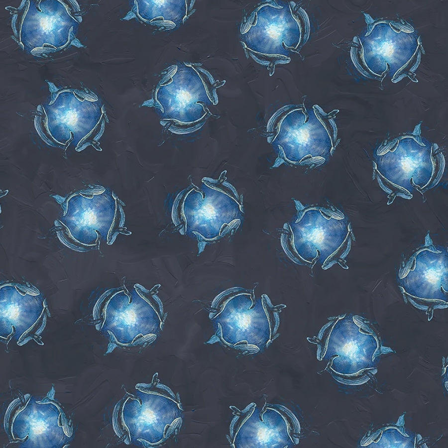 A Drop in the Ocean Whale Circles Midnight