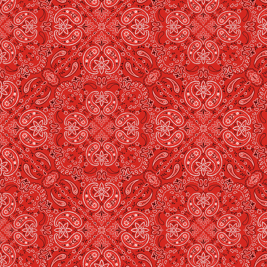 Riders on the Range Paisley Red
