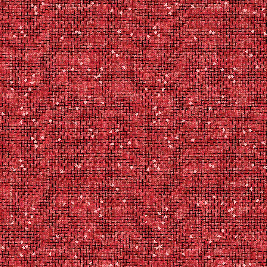 Stash Check Red