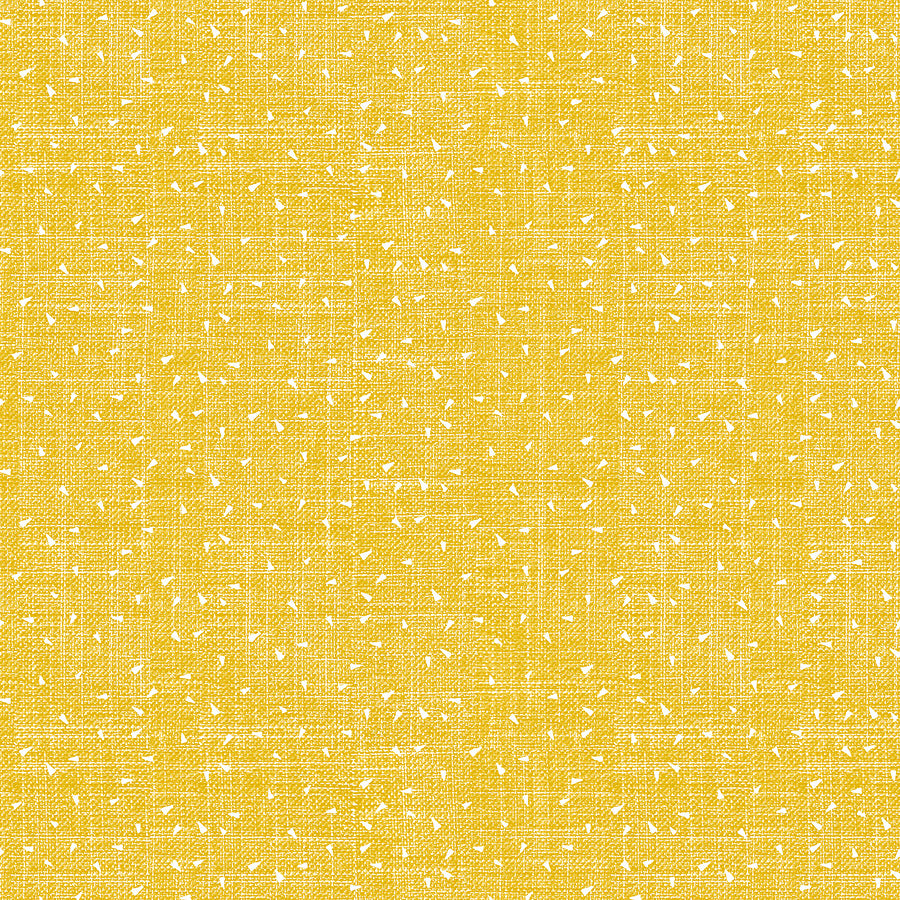Stash Triangles Sun