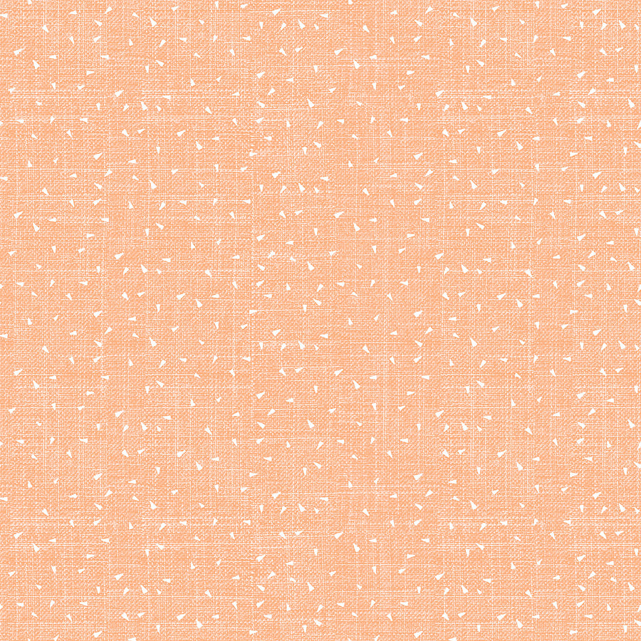 Stash Triangles Coral