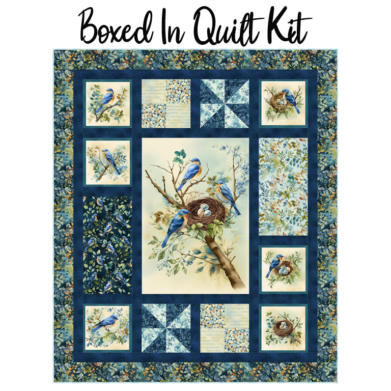 Boxed In Quilt Kit with Awakenings from Henry Glass