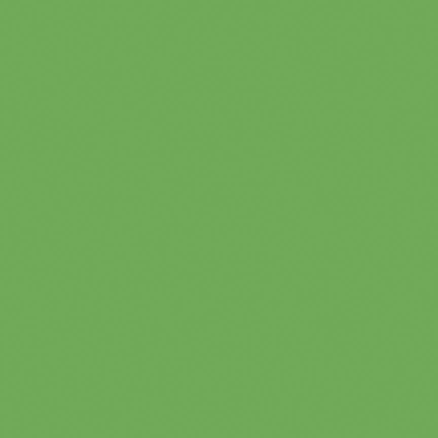 Confetti Cottons Riley Green FULL BOLT Special