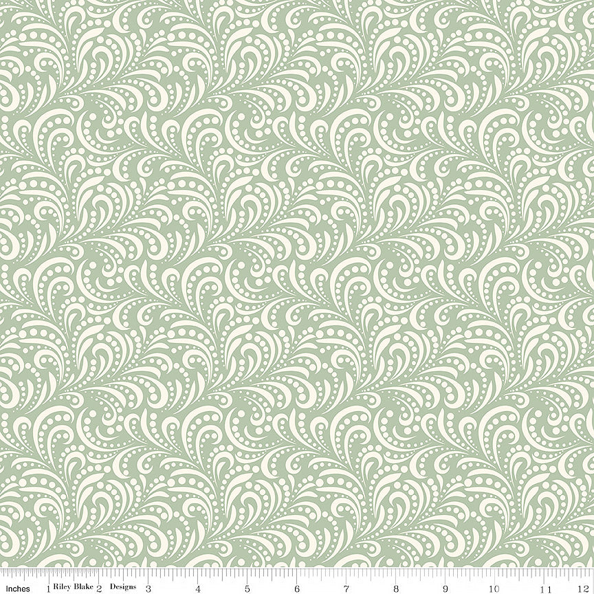 Morning Latte Swirls Aloe