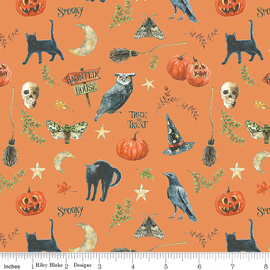 Trick or Treat Spooky Orange