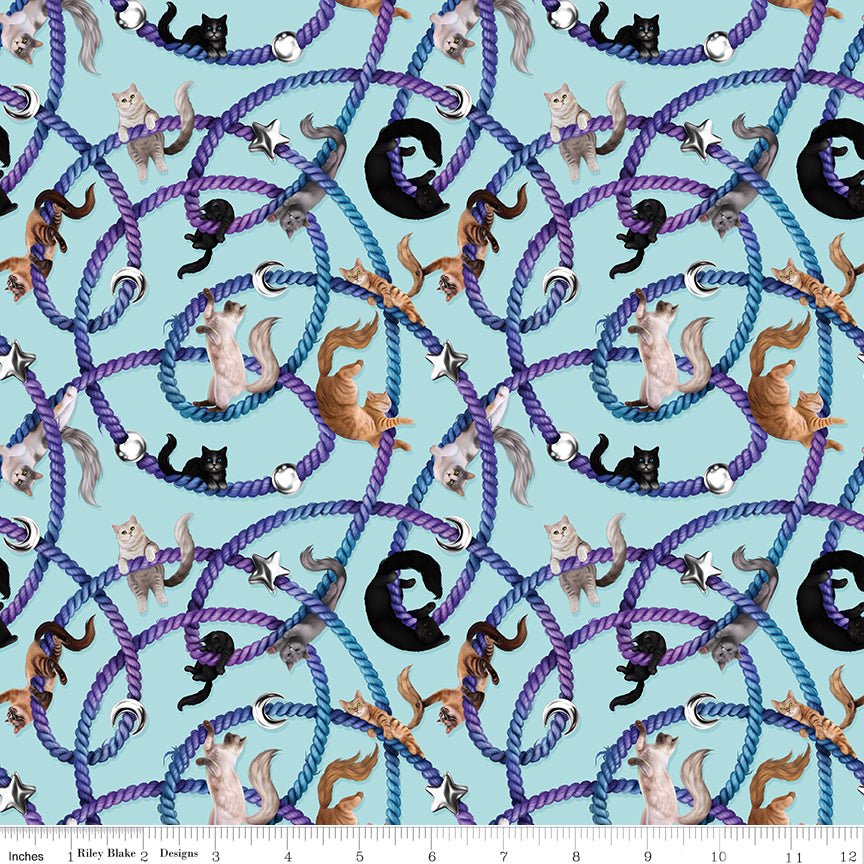 Celtic Cats Main Aqua