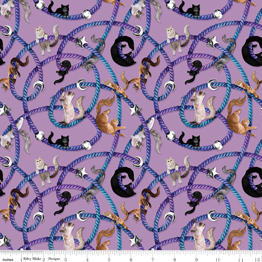 Celtic Cats Main Lilac