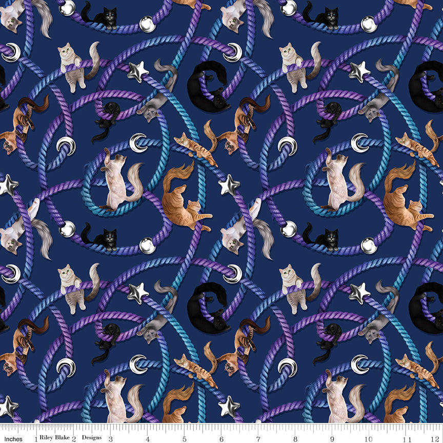 Celtic Cats Main Navy