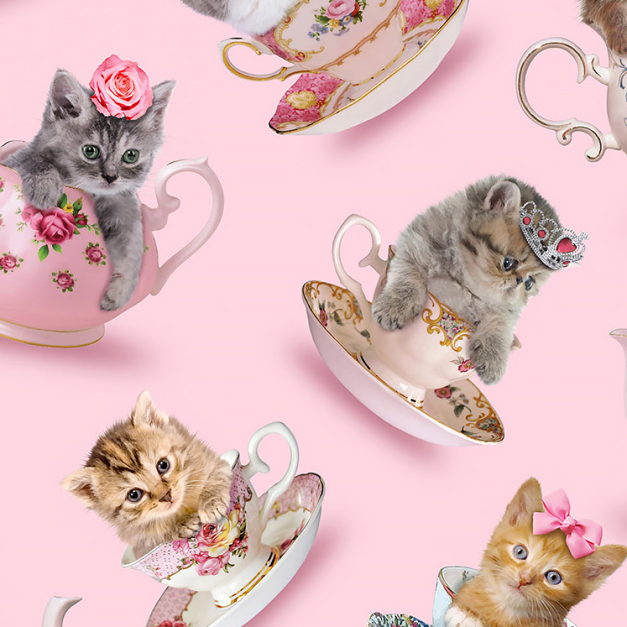 Teacup Kitty Cats in Cups Pink