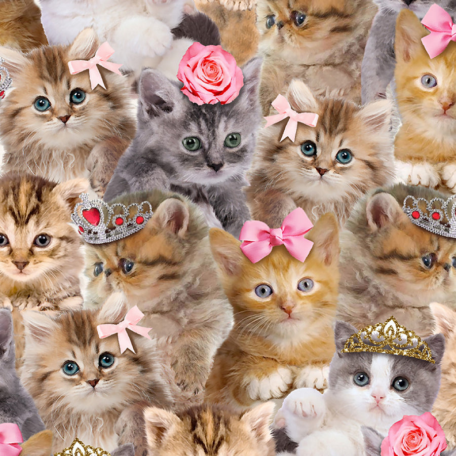 Teacup Kitty Packed Princess Kitty Natural