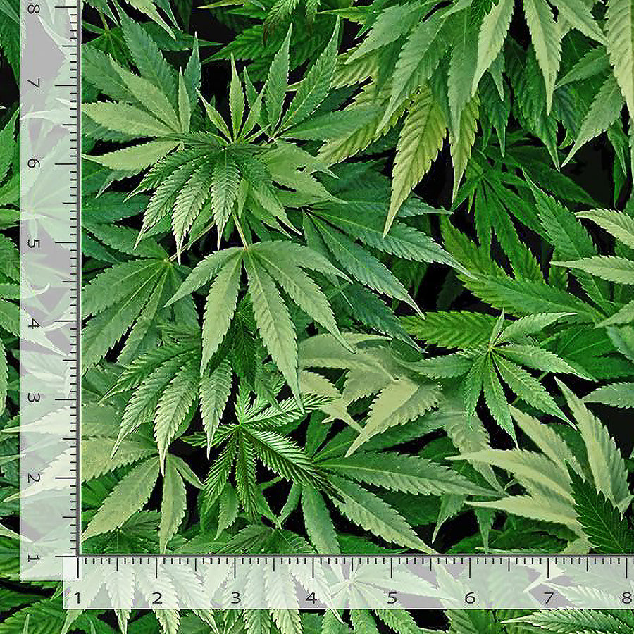Got the Munchies Cannabis Leaf Green