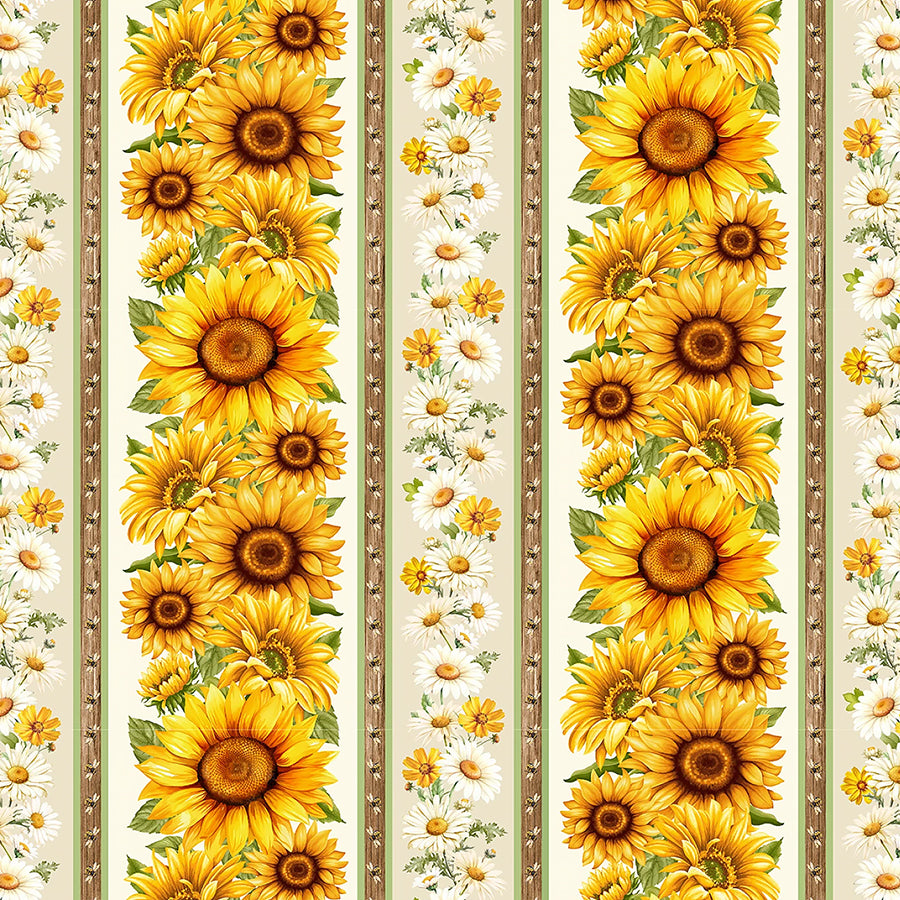 You Are My Sunshine Stripes Cream