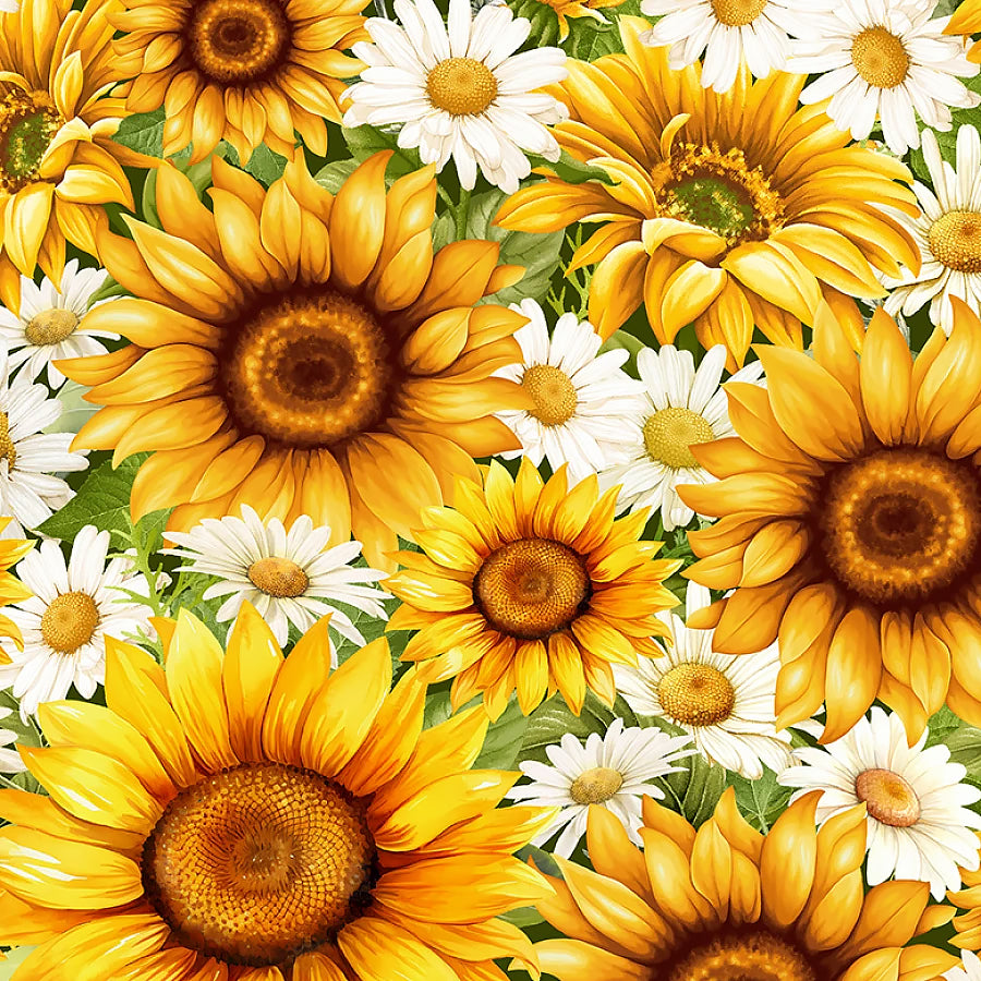 You Are My Sunshine Packed Daisies & Flowers Sunflower