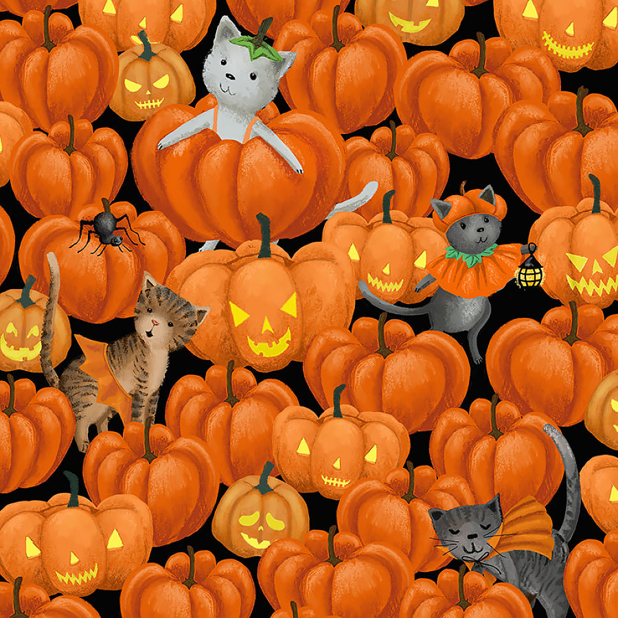 Purranormal Frank Meowt Tangerine