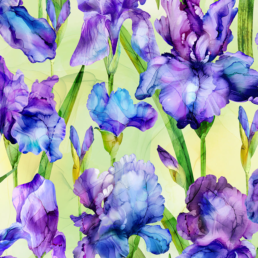 Infatuation Iris Feature Green Multi
