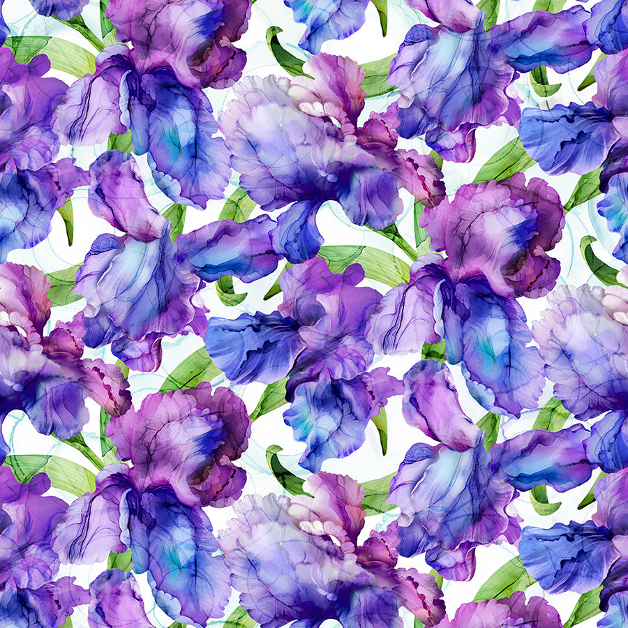 Infatuation Packed Iris White Multi