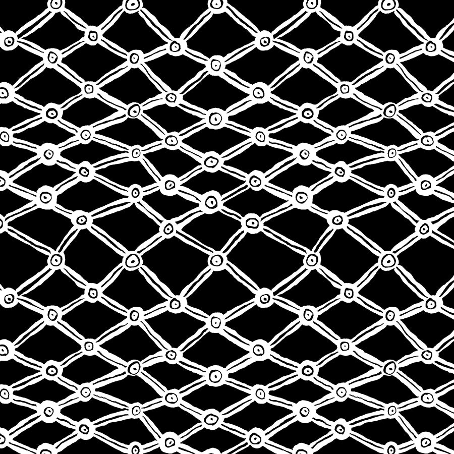 Kaffe Fassett Collective Nets Black & White