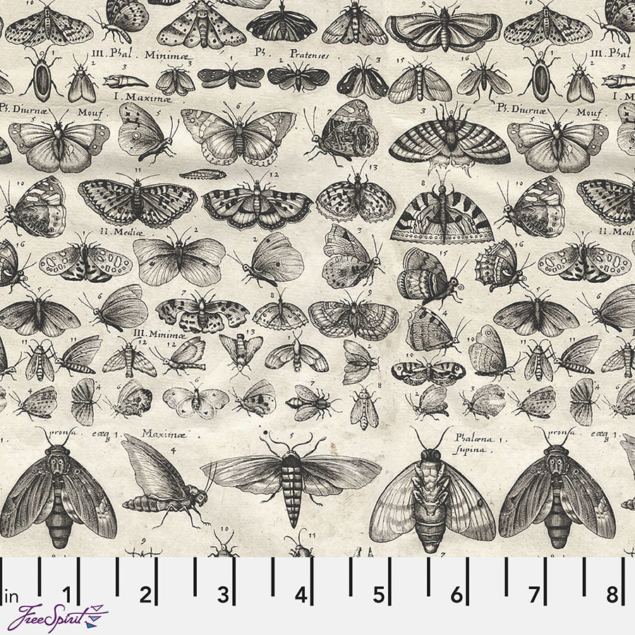 Eclectic Elements Palette - Charcoal Moths Charcoal