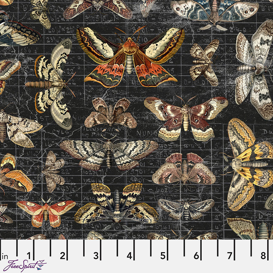 Eclectic Elements Palette - Seasonal Moth Study Halloween