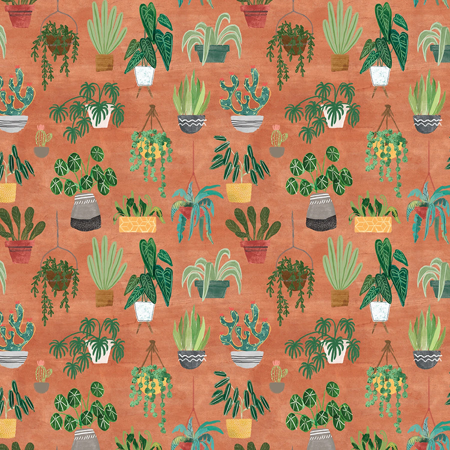 Homebodies Plants Rust