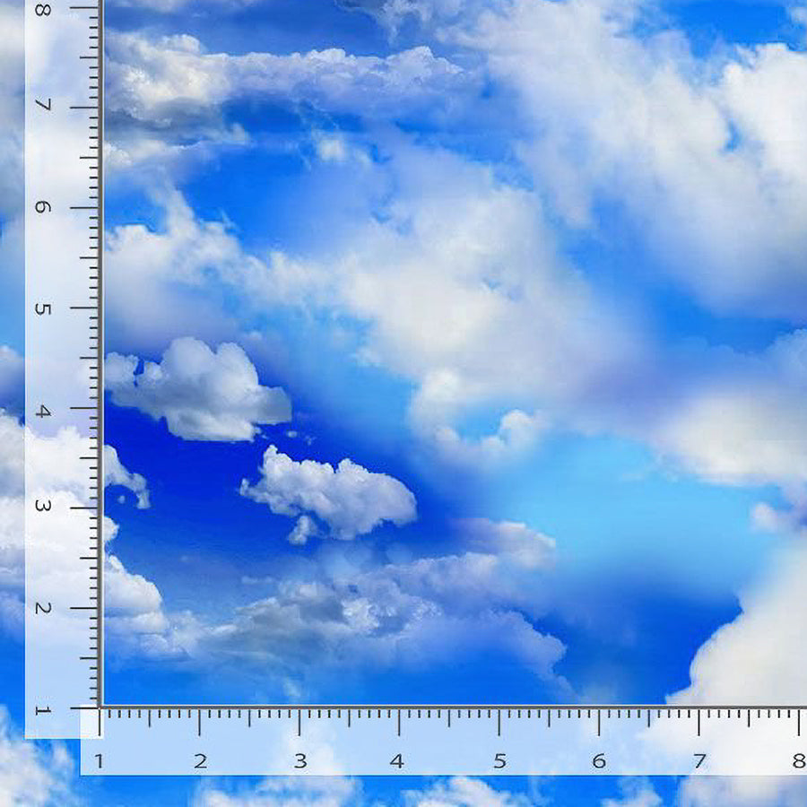 108" Wide Quilt Backing Clouds in a Bright Sky Blue